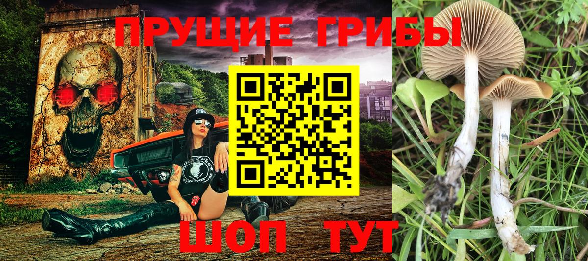 Псилоцибиновые грибы ЛСД  Вход с VPN  Озёры 