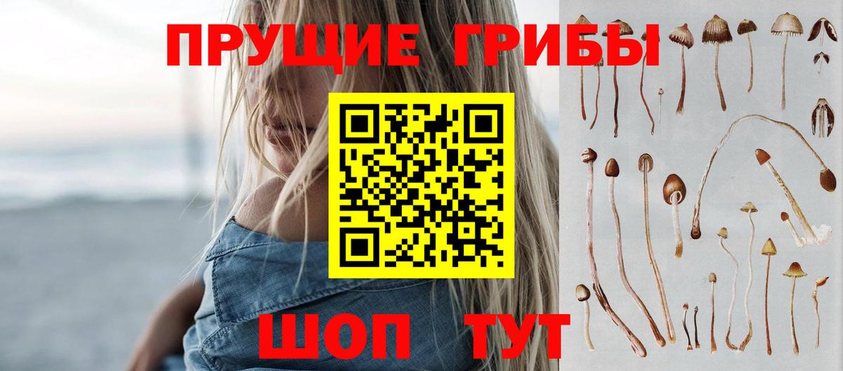 Галлюциногенные грибы Psilocybine cubensis Озёры