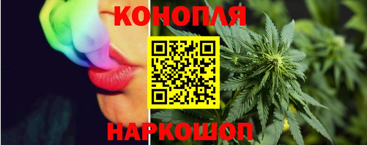 Марихуана AK-47  Каннабис план  Шишки марихуана конопля  Вход с VPN  Озёры 